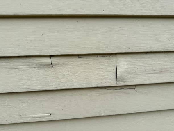 How To Choose The Right Materials for Your Siding Installation in 'Ben Bolt, TX